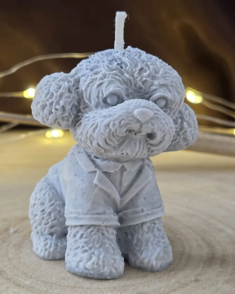 Grey blue curly-coated puppy candle wearing a collared shirt, on a wood slice